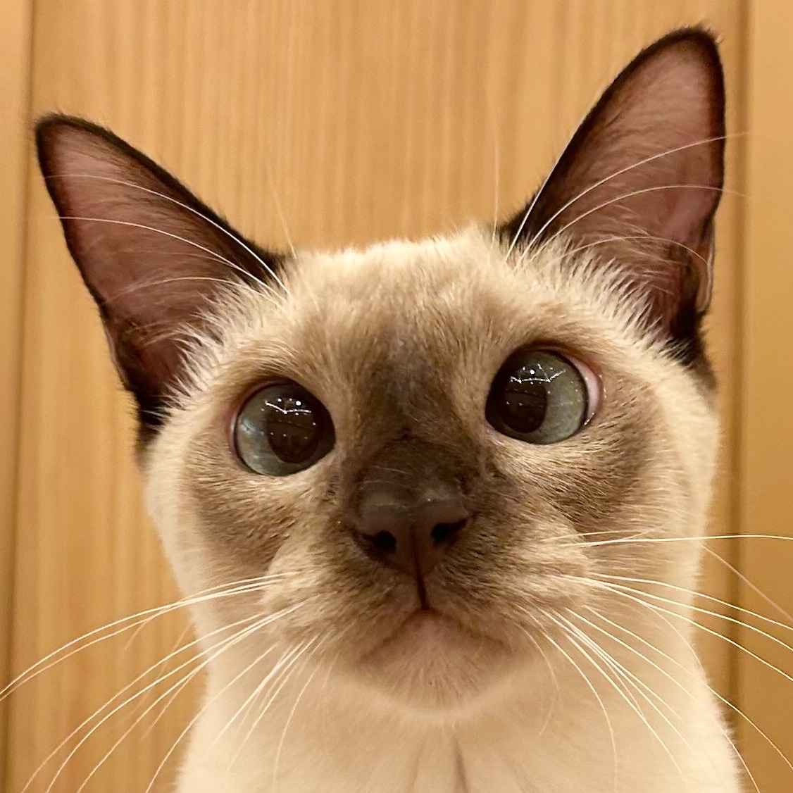 よる